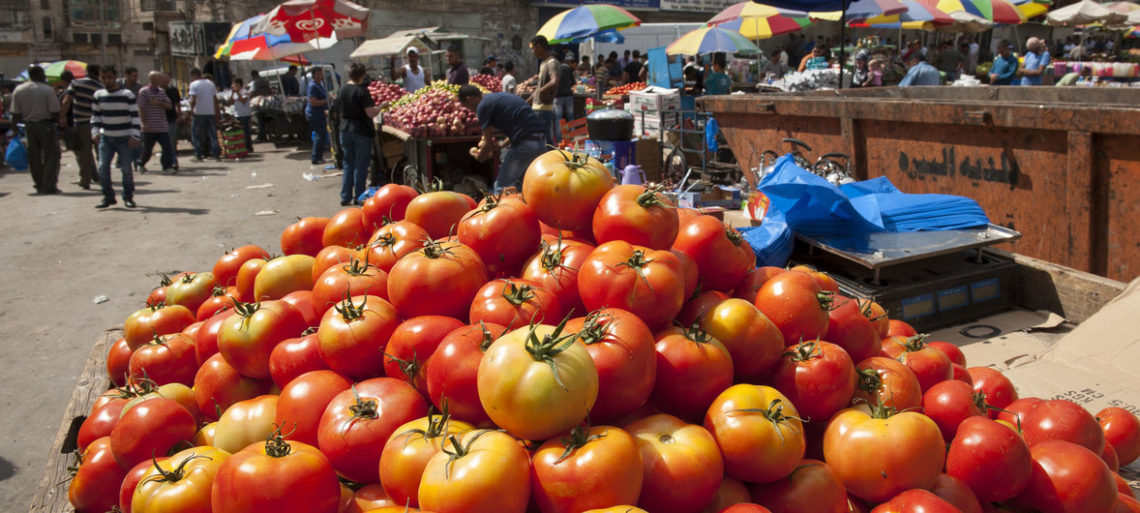 Banca de tomates contaminados