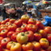 Banca de tomates contaminados