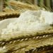 Farinha de trigo
